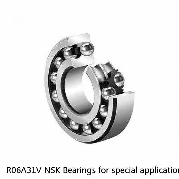 R06A31V NSK Bearings for special applications NTN 