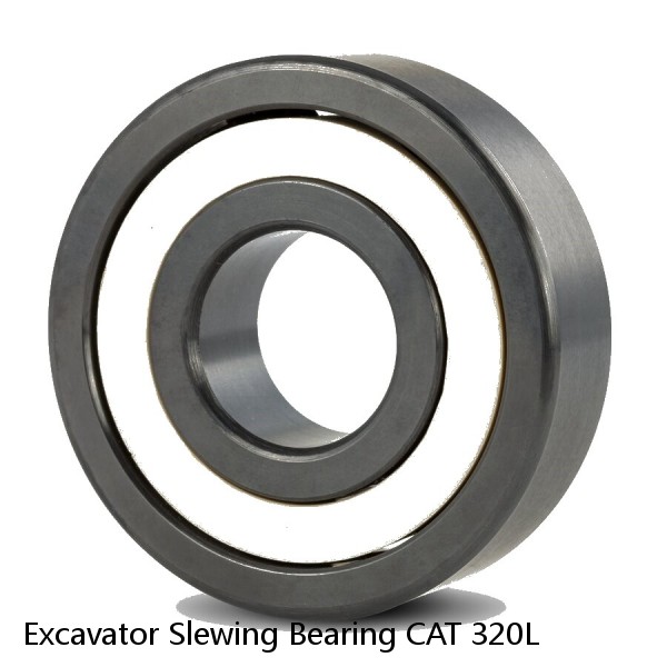 Excavator Slewing Bearing CAT 320L