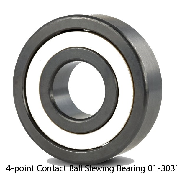 4-point Contact Ball Slewing Bearing 01-3031-00