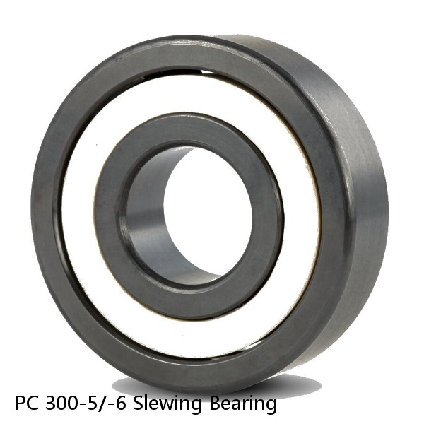 PC 300-5/-6 Slewing Bearing