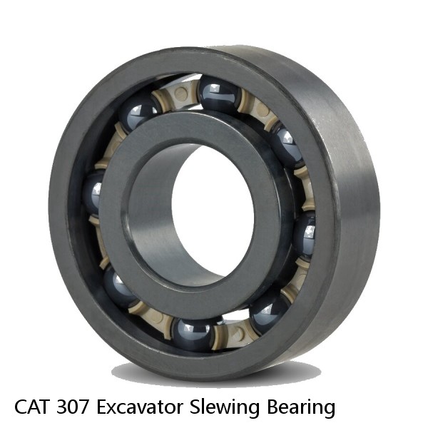 CAT 307 Excavator Slewing Bearing
