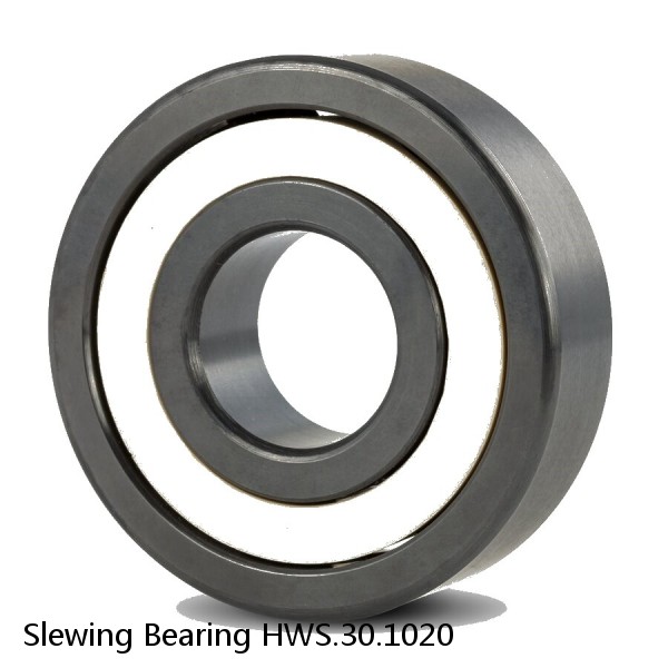 Slewing Bearing HWS.30.1020