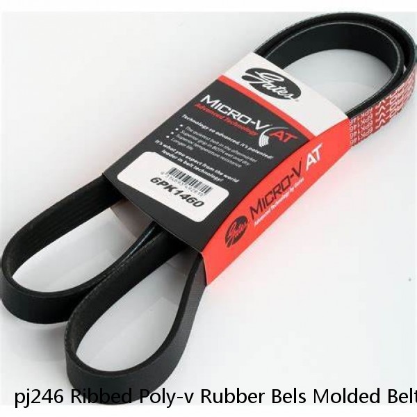 pj246 Ribbed Poly-v Rubber Bels Molded Belt