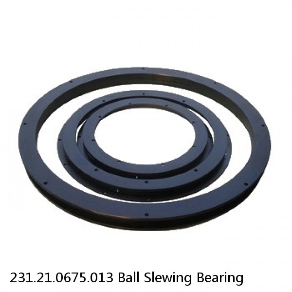 231.21.0675.013 Ball Slewing Bearing