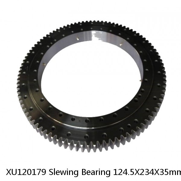 XU120179 Slewing Bearing 124.5X234X35mm