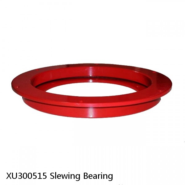 XU300515 Slewing Bearing