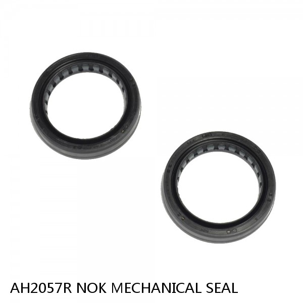 AH2057R NOK MECHANICAL SEAL #1 small image