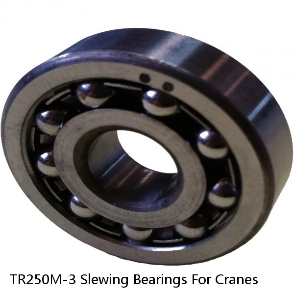 TR250M-3 Slewing Bearings For Cranes #1 small image