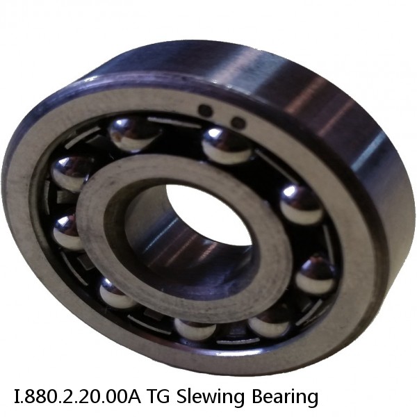 I.880.2.20.00A TG Slewing Bearing #1 small image