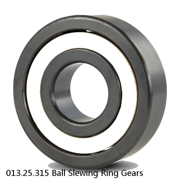 013.25.315 Ball Slewing Ring Gears #1 small image