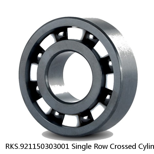 RKS.921150303001 Single Row Crossed Cylindrical Roller Slewing Bearing #1 small image