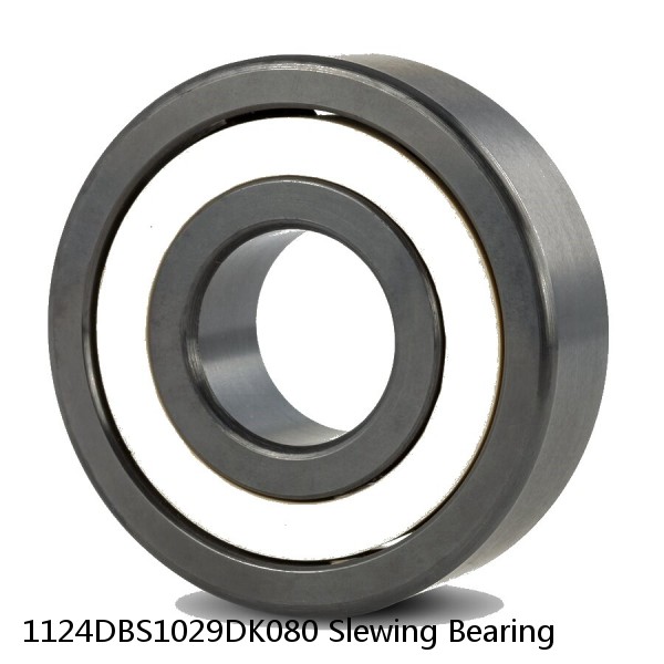 1124DBS1029DK080 Slewing Bearing #1 small image