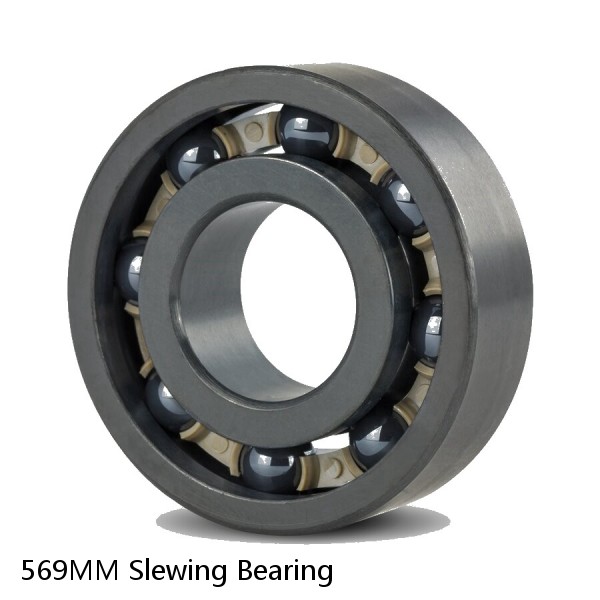 569MM Slewing Bearing #1 small image