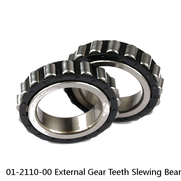 01-2110-00 External Gear Teeth Slewing Bearing #1 small image