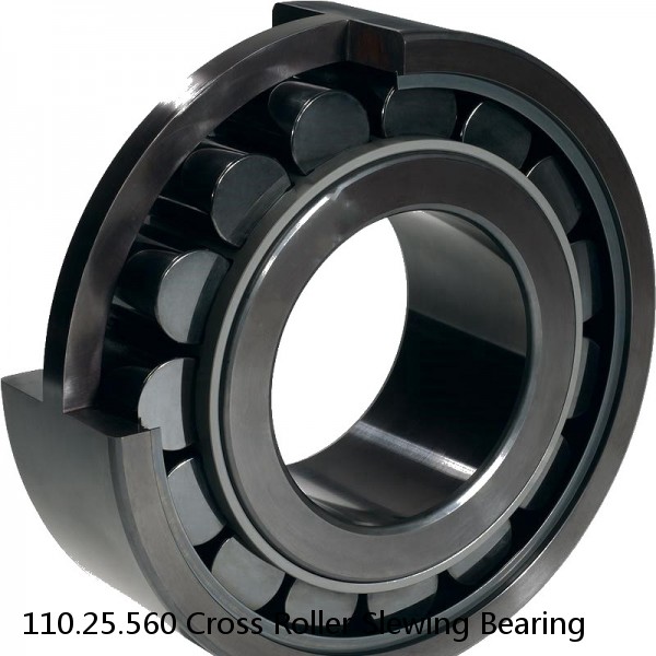 110.25.560 Cross Roller Slewing Bearing #1 small image