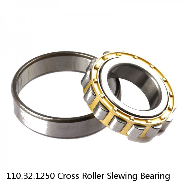 110.32.1250 Cross Roller Slewing Bearing #1 small image