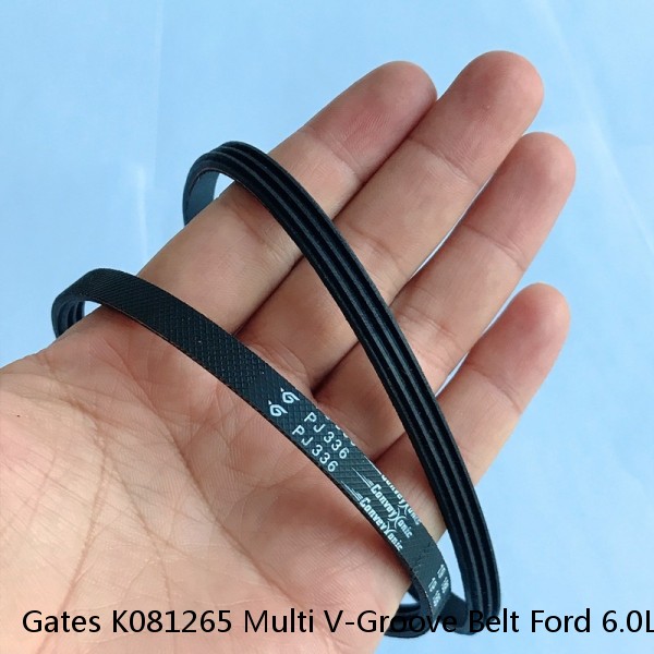 Gates K081265 Multi V-Groove Belt Ford 6.0L Turbo Diesel  #1 small image