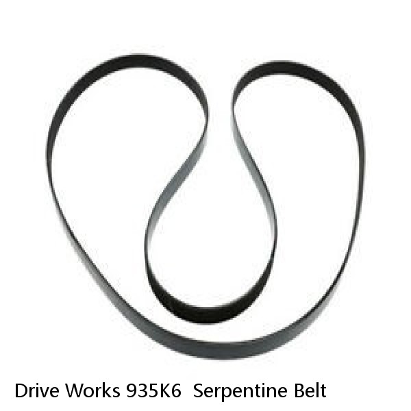 Drive Works 935K6  Serpentine Belt  #1 small image