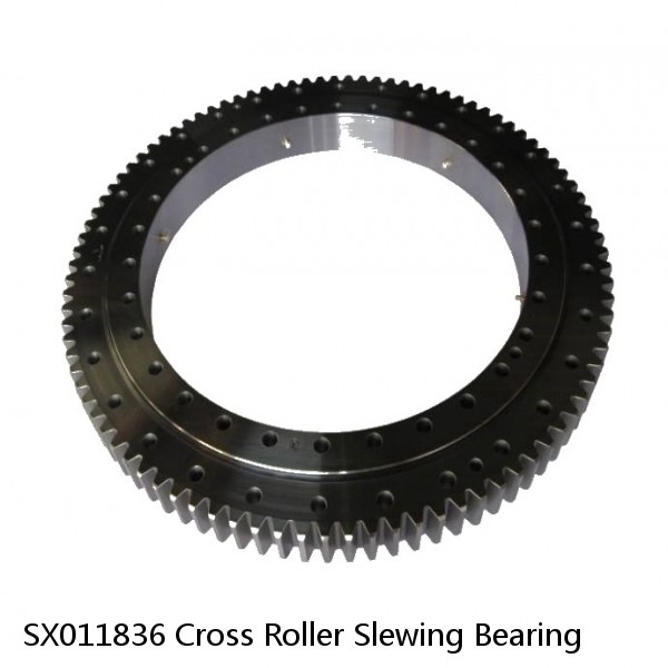 SX011836 Cross Roller Slewing Bearing #1 small image