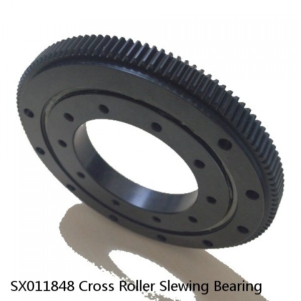 SX011848 Cross Roller Slewing Bearing #1 small image