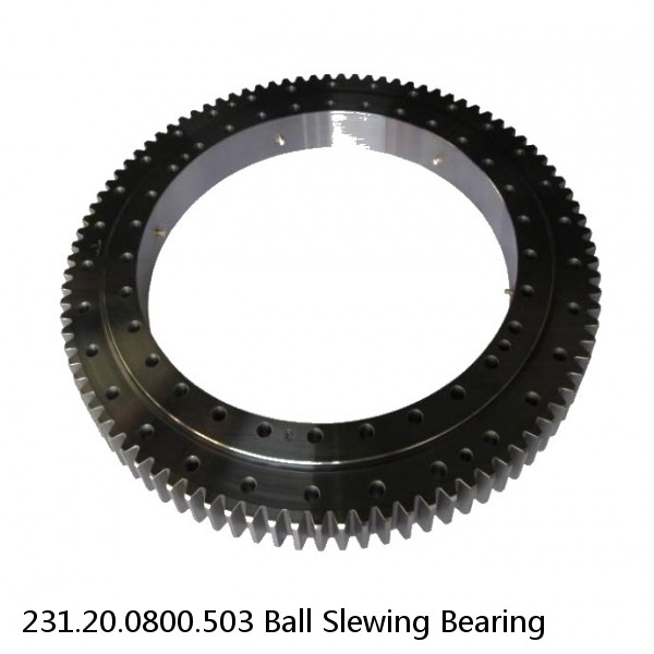 231.20.0800.503 Ball Slewing Bearing #1 small image