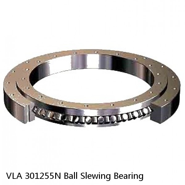 VLA 301255N Ball Slewing Bearing #1 small image