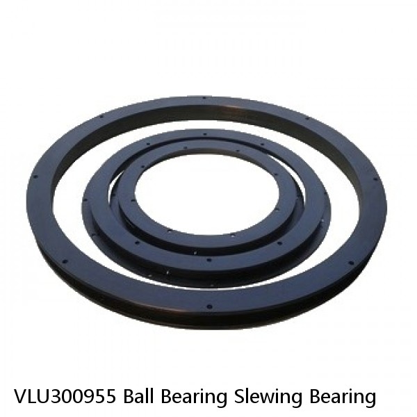 VLU300955 Ball Bearing Slewing Bearing #1 small image