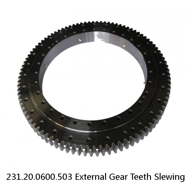 231.20.0600.503 External Gear Teeth Slewing Bearing #1 small image