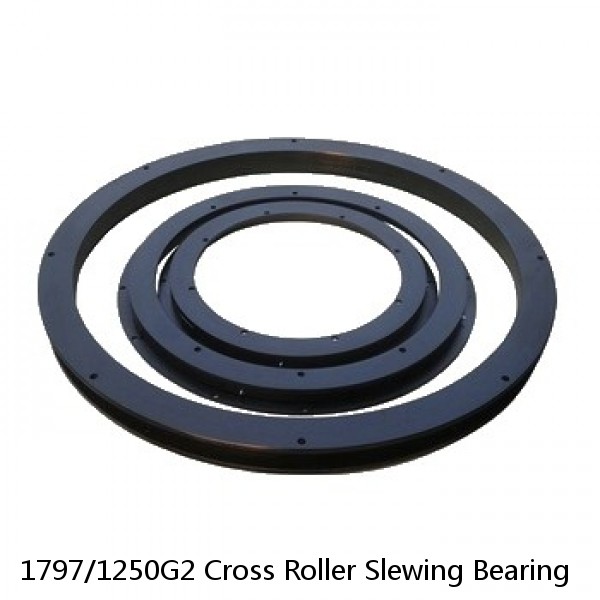 1797/1250G2 Cross Roller Slewing Bearing #1 small image