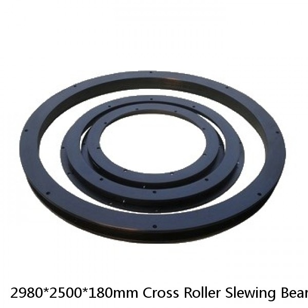 2980*2500*180mm Cross Roller Slewing Bearing #1 small image