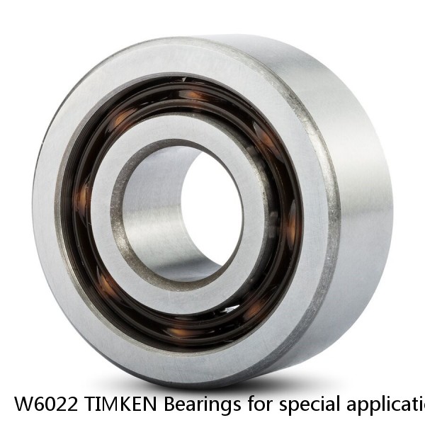 W6022 TIMKEN Bearings for special applications NTN  #1 image