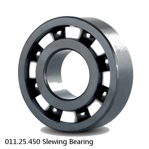 011.25.450 Slewing Bearing #1 image