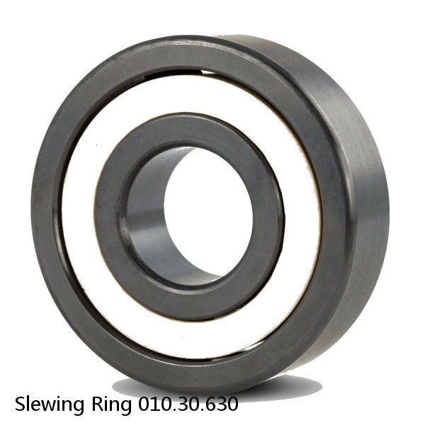 Slewing Ring 010.30.630 #1 image