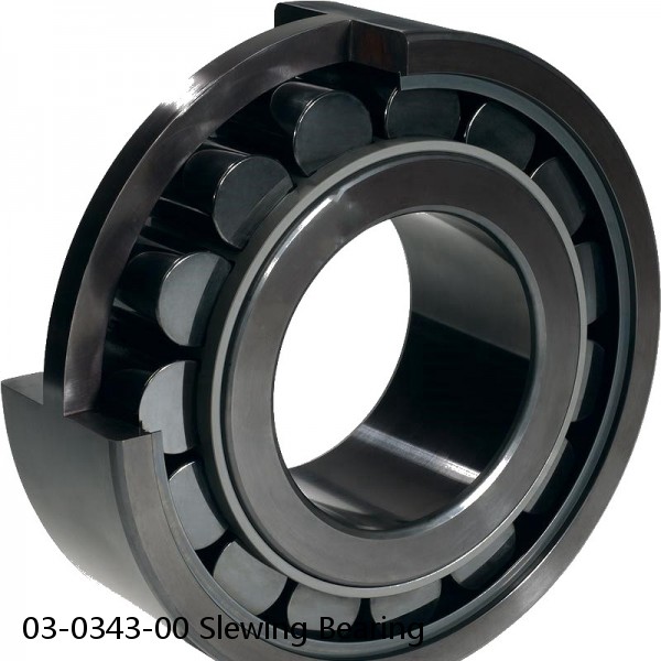 03-0343-00 Slewing Bearing #1 image