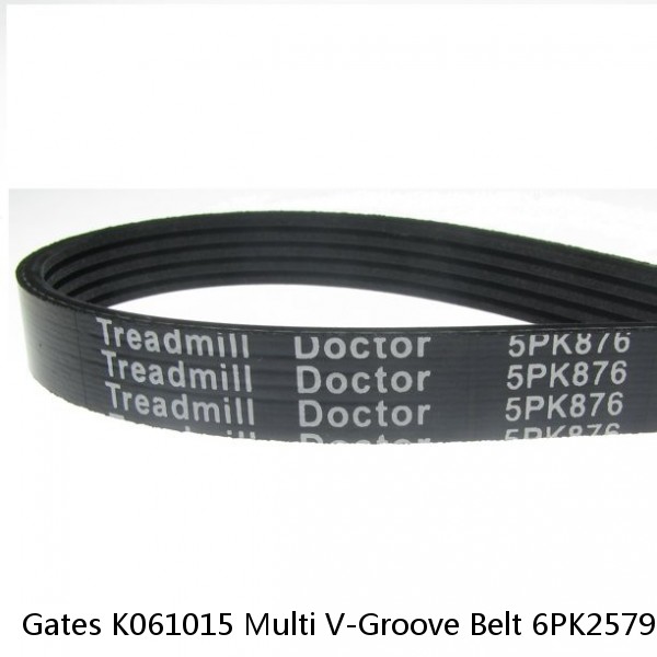 Gates K061015 Multi V-Groove Belt 6PK2579 13/16" x 102 1/8", 20mm x 2593mm Belt #1 image