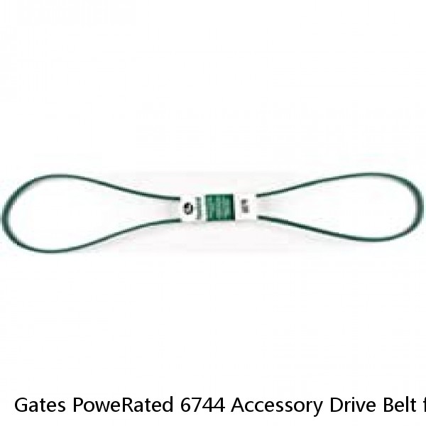 Gates PoweRated 6744 Accessory Drive Belt for 0425 0440 0M044 106508 108179 ao #1 image