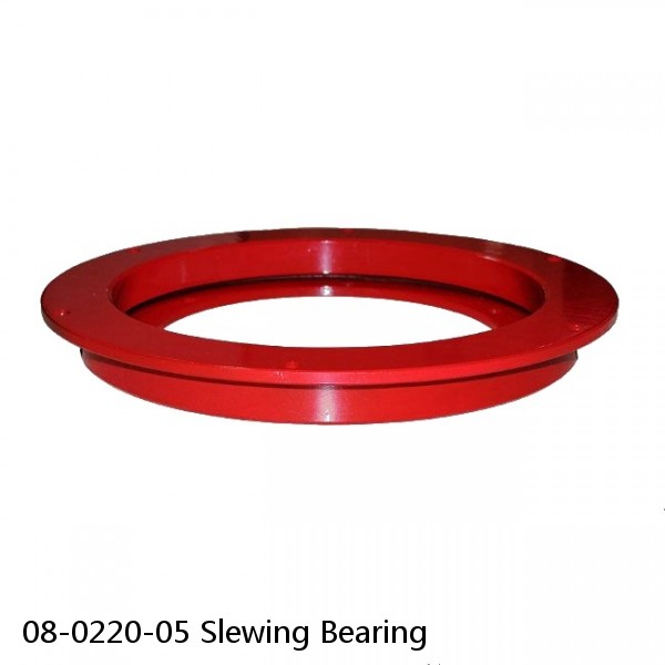 08-0220-05 Slewing Bearing #1 image