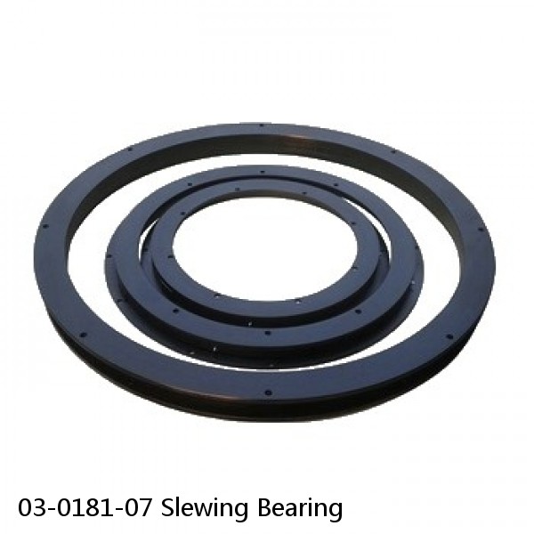 03-0181-07 Slewing Bearing #1 image